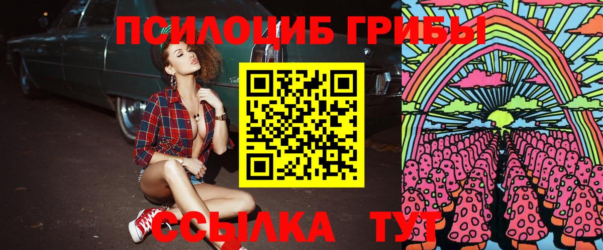 Псилоцибиновые грибы Psilocybine cubensis Ачхой-Мартан