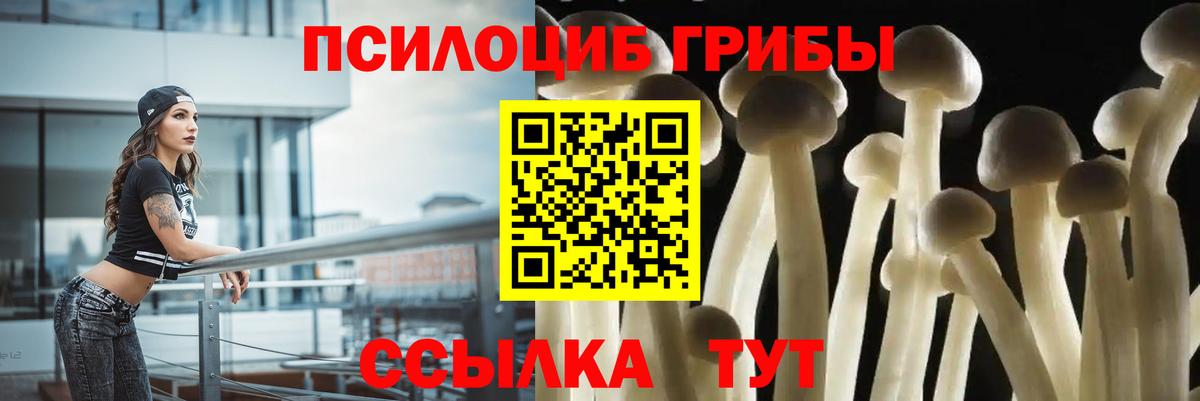 Галлюциногенные грибы мицелий  Вход с VPN  Ачхой-Мартан 