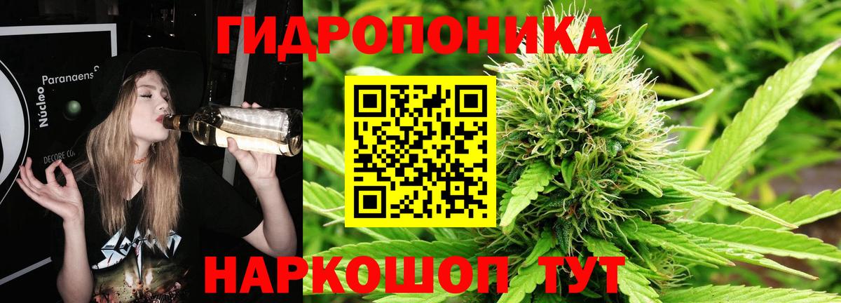 Каннабис ГИДРОПОН Ачхой-Мартан